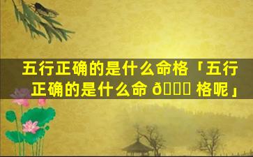 五行正确的是什么命格「五行正确的是什么命 🐘 格呢」